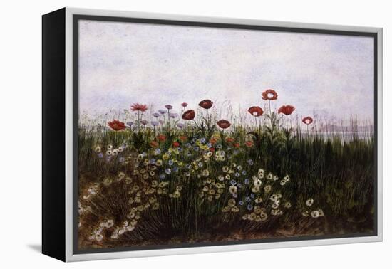 Flowers on the Irish Coast-Andrew Nicholl-Framed Premier Image Canvas