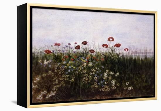 Flowers on the Irish Coast-Andrew Nicholl-Framed Premier Image Canvas