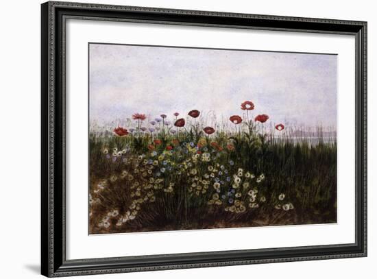 Flowers on the Irish Coast-Andrew Nicholl-Framed Giclee Print