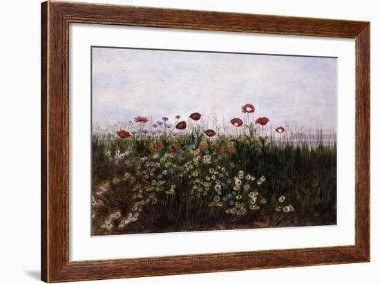 Flowers on the Irish Coast-Andrew Nicholl-Framed Giclee Print