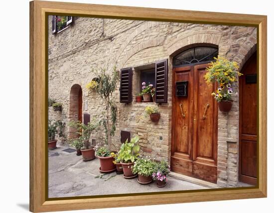 Flowers On The Wall, Tuscany, Italy-Monte Nagler-Framed Premier Image Canvas