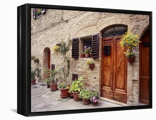 Flowers On The Wall, Tuscany, Italy-Monte Nagler-Framed Premier Image Canvas