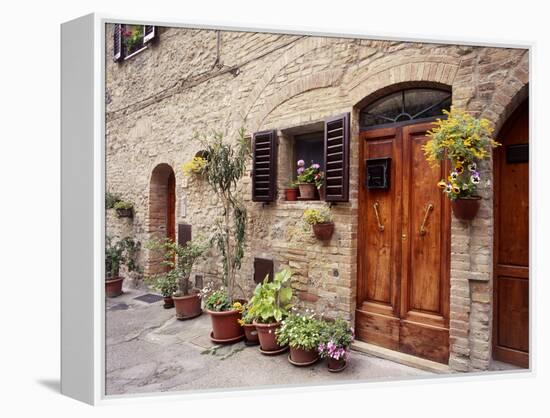 Flowers On The Wall, Tuscany, Italy-Monte Nagler-Framed Premier Image Canvas
