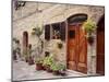 Flowers On The Wall, Tuscany, Italy-Monte Nagler-Mounted Photographic Print