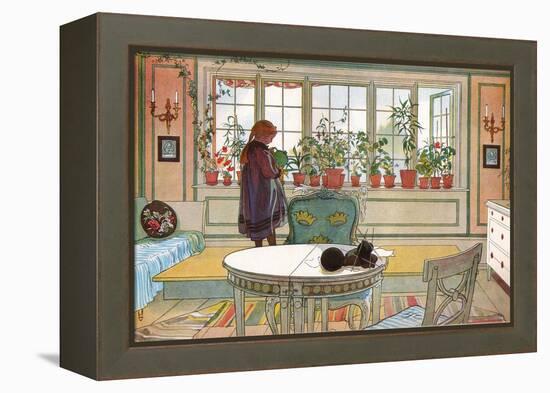 Flowers on the Windowsill, From 'A Home' series, c.1895-Carl Larsson-Framed Premier Image Canvas