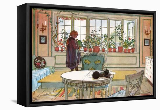 Flowers on the Windowsill, From 'A Home' series, c.1895-Carl Larsson-Framed Premier Image Canvas