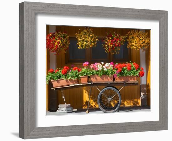 Flowers on Trolley, Arabba, Belluno Province, Trento, Italy, Europe-Frank Fell-Framed Photographic Print