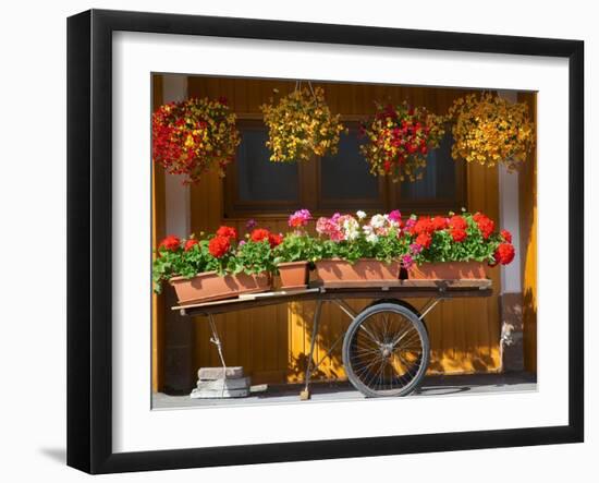 Flowers on Trolley, Arabba, Belluno Province, Trento, Italy, Europe-Frank Fell-Framed Photographic Print