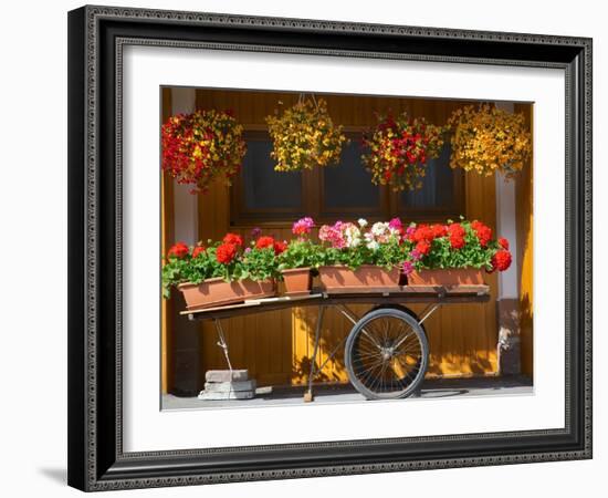 Flowers on Trolley, Arabba, Belluno Province, Trento, Italy, Europe-Frank Fell-Framed Photographic Print