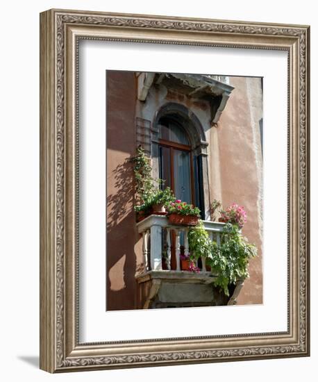 Flowers on Villa Balcony, Venice, Italy-Lisa S^ Engelbrecht-Framed Photographic Print