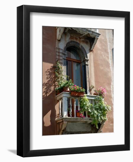 Flowers on Villa Balcony, Venice, Italy-Lisa S^ Engelbrecht-Framed Photographic Print