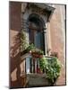 Flowers on Villa Balcony, Venice, Italy-Lisa S^ Engelbrecht-Mounted Photographic Print