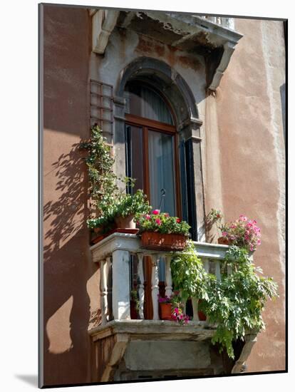 Flowers on Villa Balcony, Venice, Italy-Lisa S^ Engelbrecht-Mounted Photographic Print