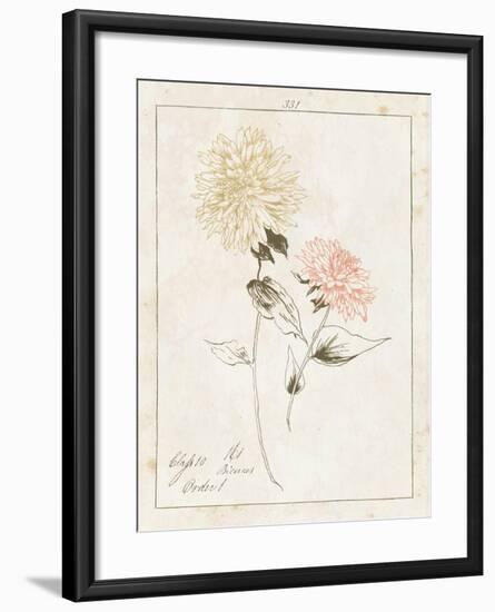 Flowers on White IV with Words-Wild Apple Portfolio-Framed Art Print