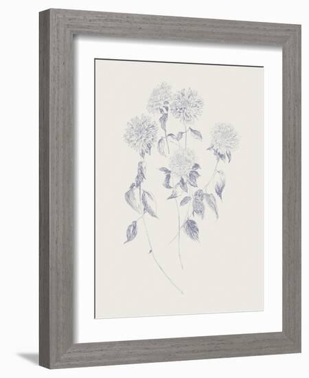 Flowers on White VI Blue-Wild Apple Portfolio-Framed Art Print