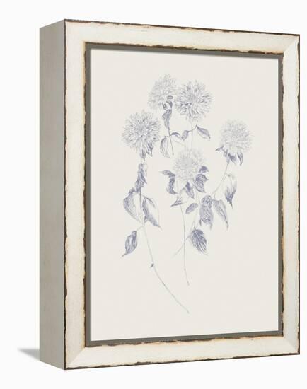 Flowers on White VI Blue-Wild Apple Portfolio-Framed Stretched Canvas