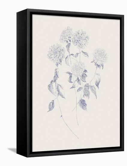 Flowers on White VI Blue-Wild Apple Portfolio-Framed Stretched Canvas