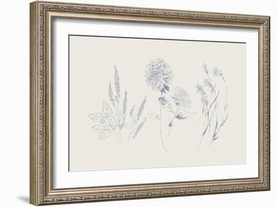 Flowers on White VIII Blue-Wild Apple Portfolio-Framed Art Print