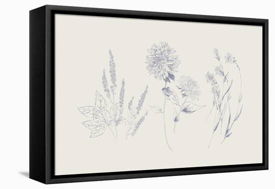 Flowers on White VIII Blue-Wild Apple Portfolio-Framed Stretched Canvas