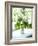 Flowers on Windowsill, Cottage Interior, UK-Stuart Cox-Framed Photo