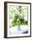 Flowers on Windowsill, Cottage Interior, UK-Stuart Cox-Framed Photo