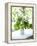 Flowers on Windowsill, Cottage Interior, UK-Stuart Cox-Framed Stretched Canvas