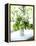 Flowers on Windowsill, Cottage Interior, UK-Stuart Cox-Framed Stretched Canvas