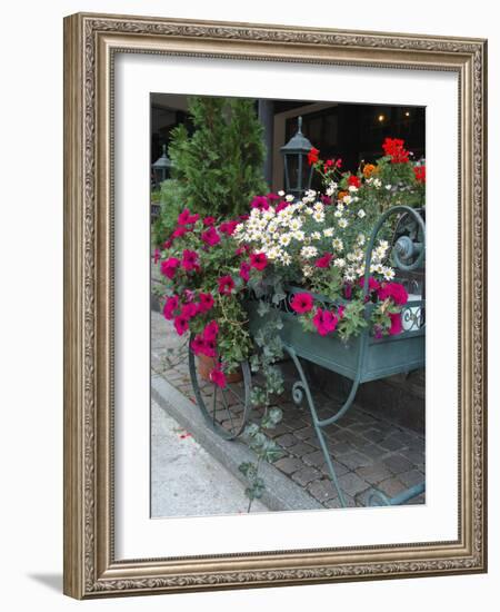 Flowers Outside Cafe, Zermatt, Switzerland-Lisa S. Engelbrecht-Framed Photographic Print