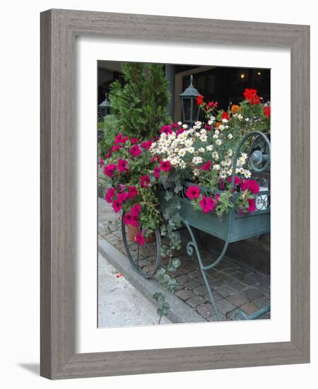 Flowers Outside Cafe, Zermatt, Switzerland-Lisa S. Engelbrecht-Framed Photographic Print