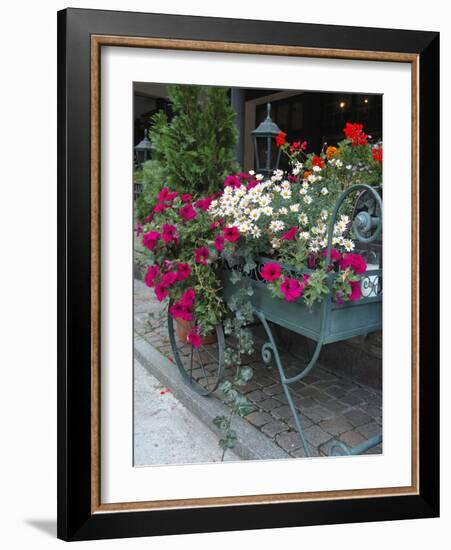 Flowers Outside Cafe, Zermatt, Switzerland-Lisa S. Engelbrecht-Framed Photographic Print