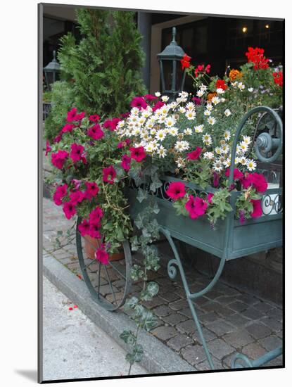 Flowers Outside Cafe, Zermatt, Switzerland-Lisa S. Engelbrecht-Mounted Photographic Print