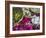 Flowers Prepared for Offerings, Yogyakarta, Java, Indonesia-Ian Trower-Framed Photographic Print