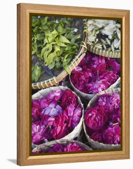 Flowers Prepared for Offerings, Yogyakarta, Java, Indonesia-Ian Trower-Framed Premier Image Canvas