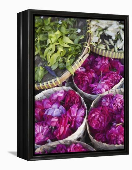 Flowers Prepared for Offerings, Yogyakarta, Java, Indonesia-Ian Trower-Framed Premier Image Canvas