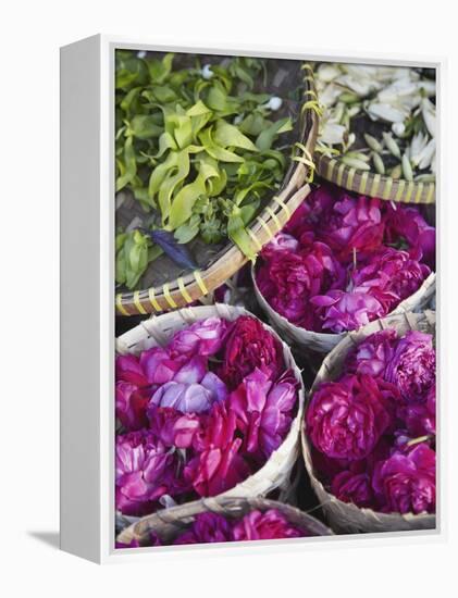 Flowers Prepared for Offerings, Yogyakarta, Java, Indonesia-Ian Trower-Framed Premier Image Canvas