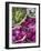 Flowers Prepared for Offerings, Yogyakarta, Java, Indonesia-Ian Trower-Framed Photographic Print