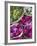 Flowers Prepared for Offerings, Yogyakarta, Java, Indonesia-Ian Trower-Framed Photographic Print