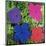 Flowers (Purple, Blue, Pink, Red)-Andy Warhol-Mounted Art Print