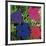 Flowers (Purple, Blue, Pink, Red)-Andy Warhol-Framed Giclee Print