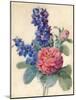 Flowers, Roses and Larkspur-Camile de Chanteraine-Mounted Giclee Print