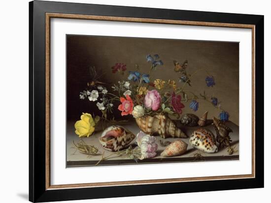 Flowers, Shells and Insects on a Stone Ledge-Balthasar van der Ast-Framed Giclee Print