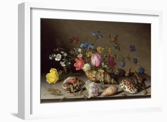 Flowers, Shells and Insects on a Stone Ledge-Balthasar van der Ast-Framed Giclee Print