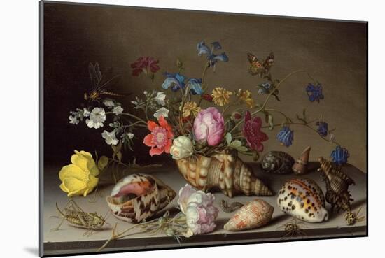 Flowers, Shells and Insects on a Stone Ledge-Balthasar van der Ast-Mounted Giclee Print