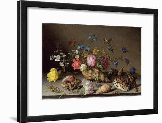 Flowers, Shells and Insects on a Stone Ledge-Balthasar van der Ast-Framed Giclee Print