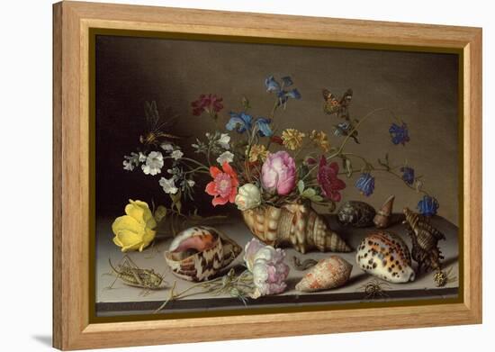 Flowers, Shells and Insects on a Stone Ledge-Balthasar van der Ast-Framed Premier Image Canvas