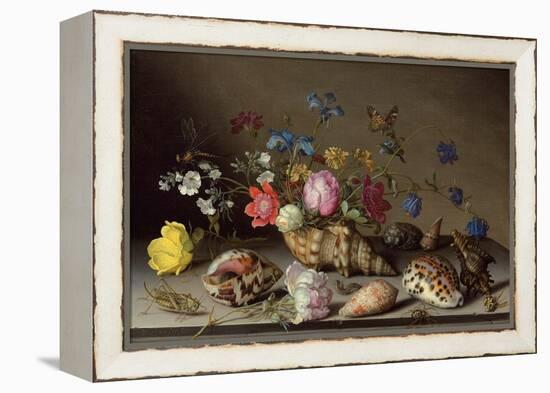 Flowers, Shells and Insects on a Stone Ledge-Balthasar van der Ast-Framed Premier Image Canvas