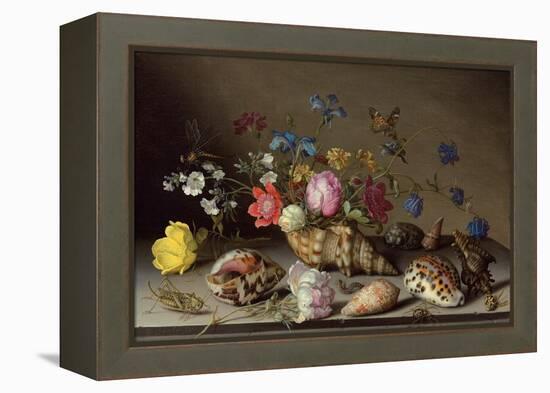 Flowers, Shells and Insects on a Stone Ledge-Balthasar van der Ast-Framed Premier Image Canvas