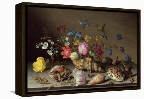 Flowers, Shells and Insects on a Stone Ledge-Balthasar van der Ast-Framed Premier Image Canvas