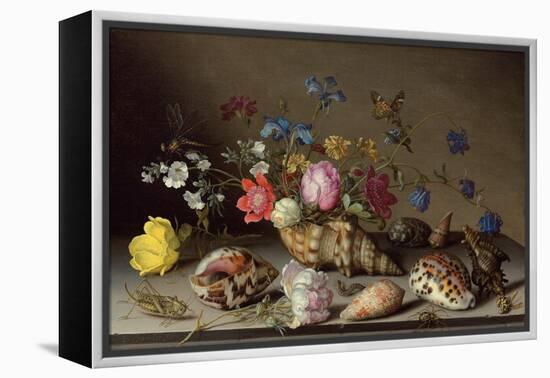 Flowers, Shells and Insects on a Stone Ledge-Balthasar van der Ast-Framed Premier Image Canvas