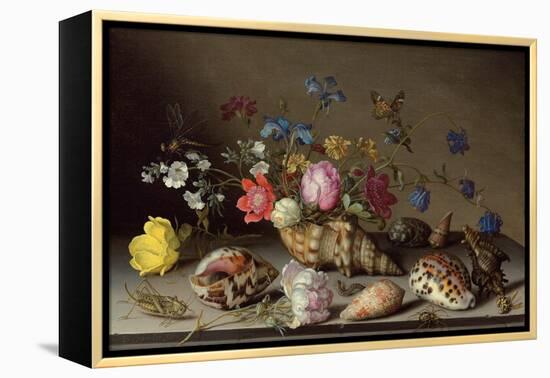 Flowers, Shells and Insects on a Stone Ledge-Balthasar van der Ast-Framed Premier Image Canvas